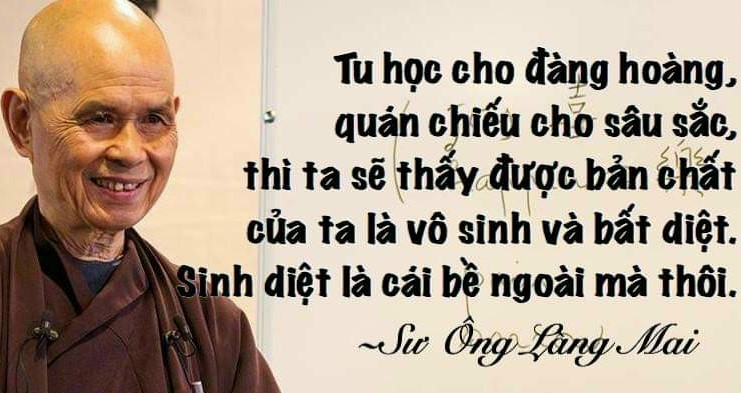 Thiền sư Thích Nhất Hạnh viên tịch