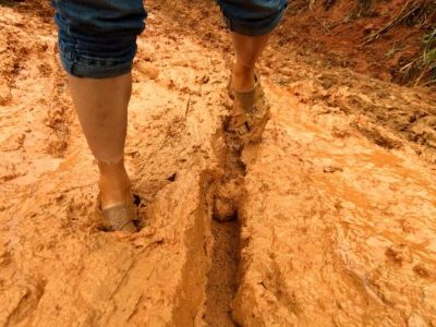 Không tu mà tu, tu mà không tu…