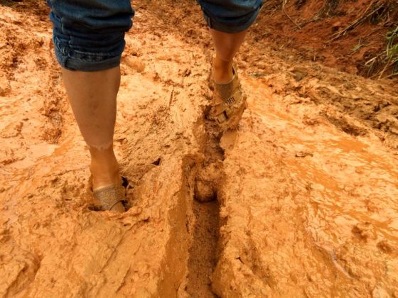 Không tu mà tu, tu mà không tu…