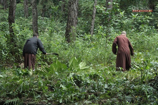 Tảo tháp Tổ sư Liễu Quán tại cố đô Huế ảnh 6