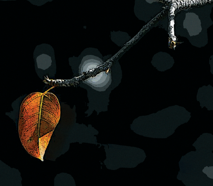 Cầu nguyện cho người đã khuất theo tinh thần Phật giáo Nguyên thủy