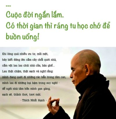 Việt Nam có bao nhiêu ngôi chùa?
