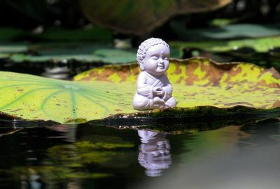 Tri túc tâm thường lạc – Vô cầu phẩm tự cao