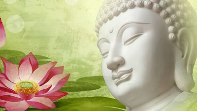 Quả báo của Nghiệp