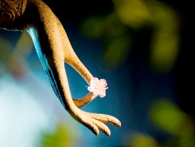 Cầu siêu phải thành tâm