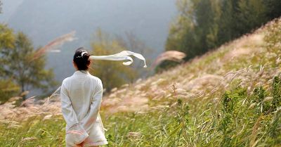 Cảnh giới cao nhất của trí huệ là thuận theo tự nhiên