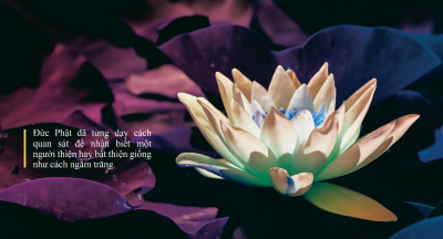 Xóa mờ nghiệp ác như trăng thoát mây che