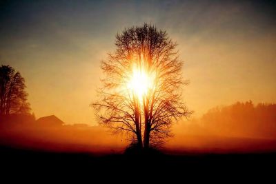 Giữ được an yên và trái tim thuần khiết giữa chốn trần ai