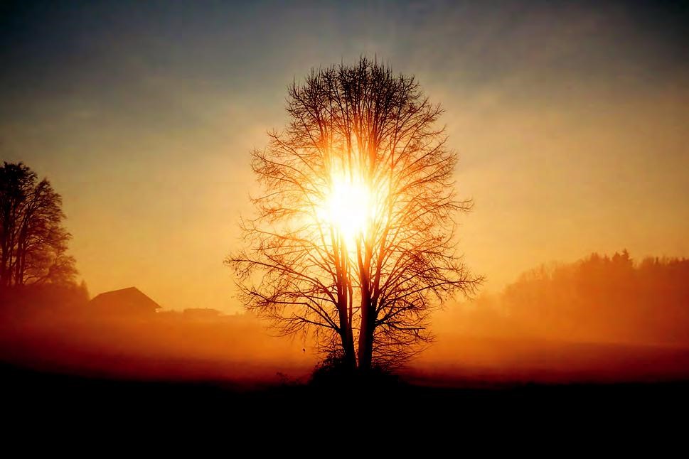 Giữ được an yên và trái tim thuần khiết giữa chốn trần ai