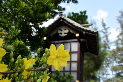 Thấy chân thường, thấy mùa Xuân vĩnh cửu