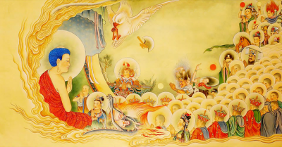 Khi được sinh vào cõi Cực Lạc, vọng nghiệp được tịnh hóa như thế nào?