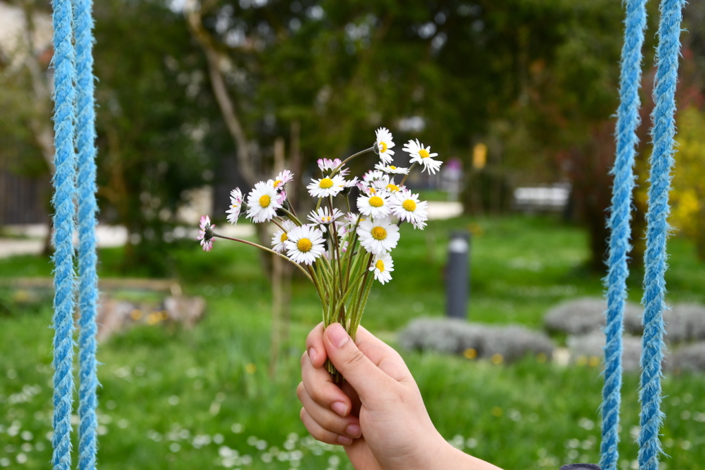 Thiền tập – cách để chạm đến những mầu nhiệm của sự sống, trở về với chính tự thân mình