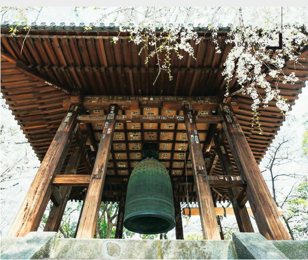 Tiếng chuông chùa – một biểu tượng văn hoá tâm linh của nhà Phật