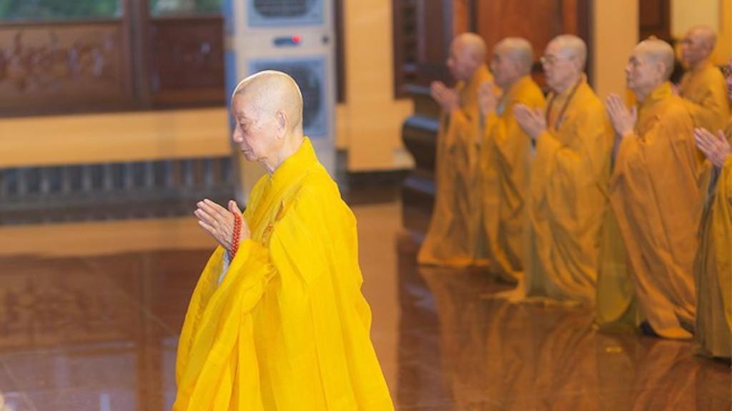 Gieo mầm thiện, trồng căn lành trong Phật pháp