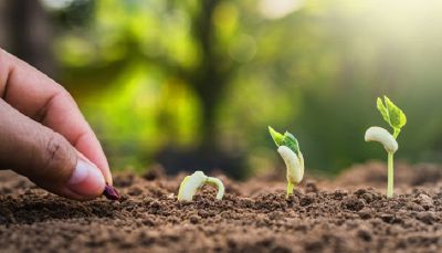 Đã gieo trồng thiện căn dẫu chết cũng không sợ