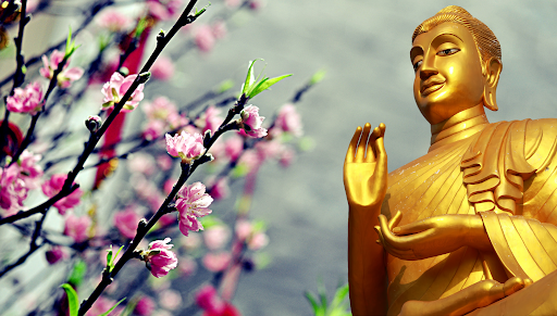 Ngày Tết Nguyên đán trong tâm tưởng người Việt qua góc nhìn của tu sĩ Phật giáo