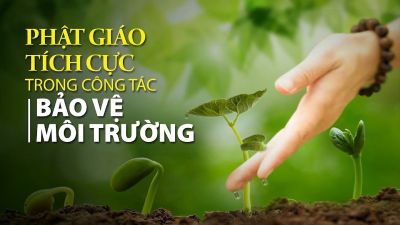 Giáo lý Phật giáo là nguồn năng lượng bảo vệ môi trường