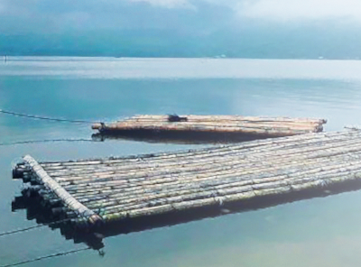 Đức Phật ví pháp giống như chiếc bè đưa ta qua sông