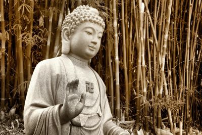 PHẬT GIÁO TRÚC LÂM ĐÂU CHỈ CÓ THIỀN HỌC