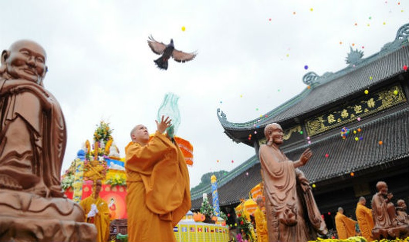 Gây ác nghiệp khi phóng sinh không đúng cách