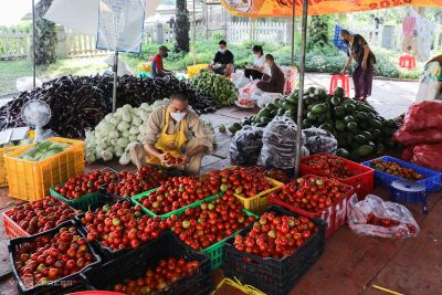 Ngôi chùa mỗi ngày nấu 20.000 suất ăn cho khu cách ly, phong tỏa