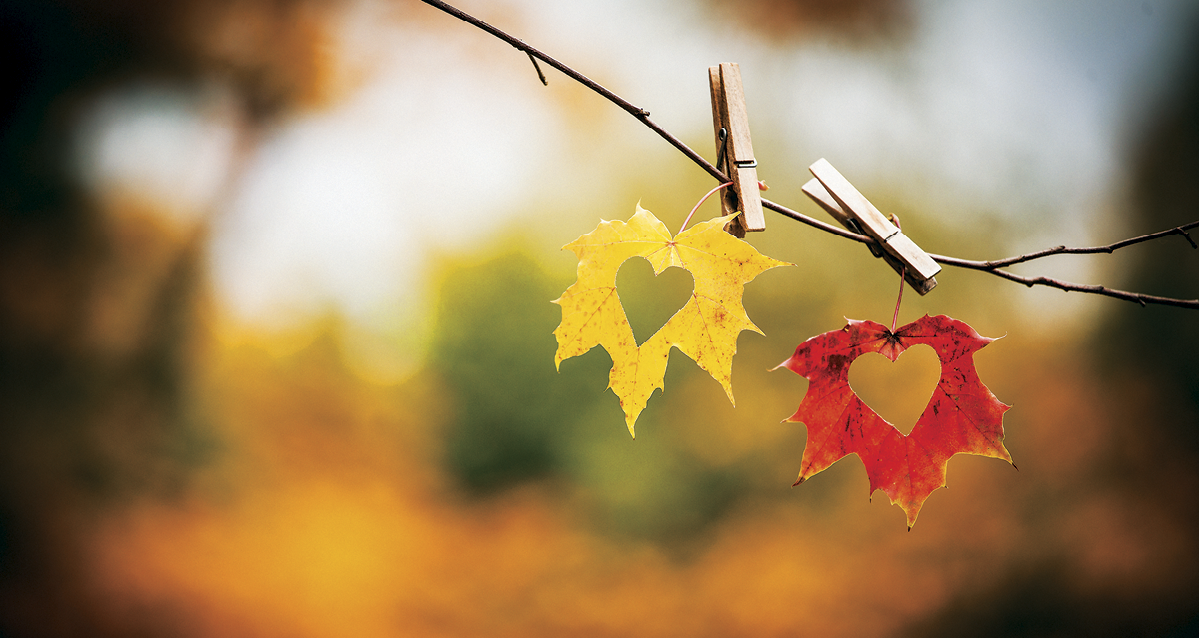 Sống an lạc theo tinh thần Phật giáo