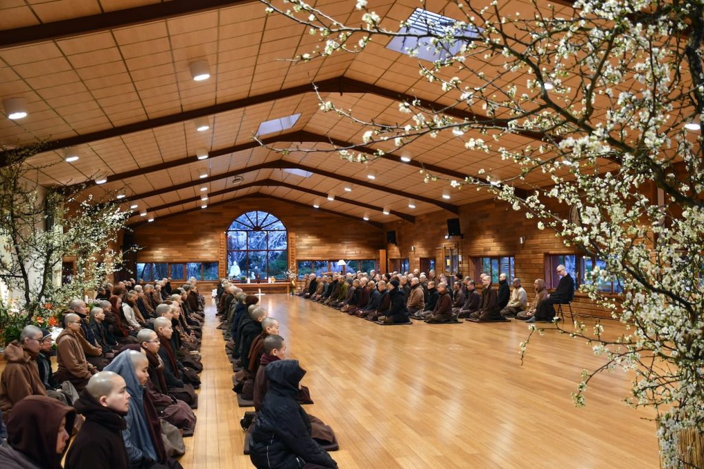 Thiền sư Thích Nhất Hạnh: Từ bi sẽ không thể có được nếu không có hiểu biết