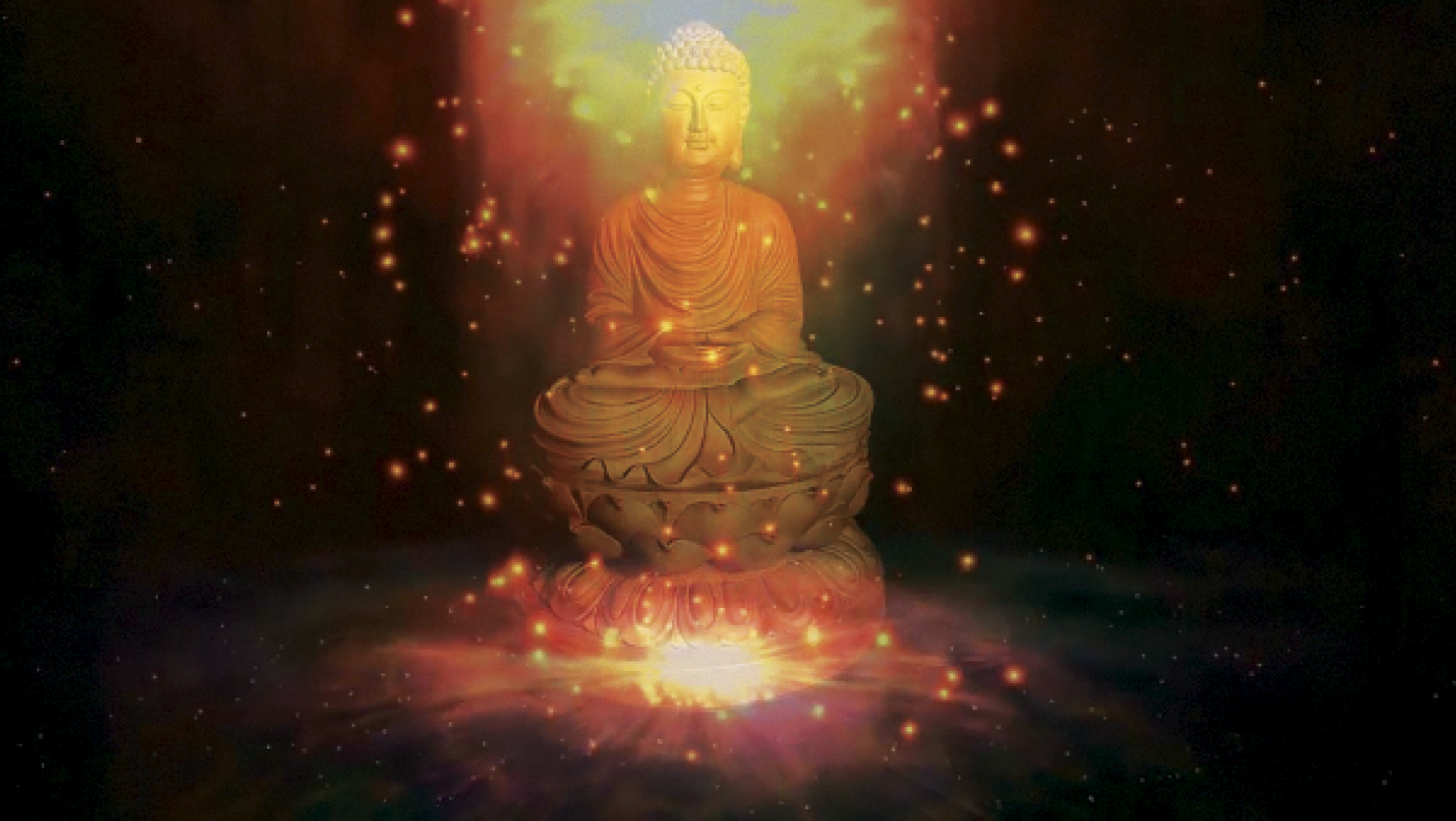 Đặc tính tư tưởng của thiền phái Lâm Tế ở Việt Nam