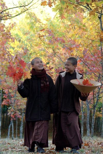 Thơ Thiền Việt Nam: Trời thu, lá úa, vọng niệm vô thường