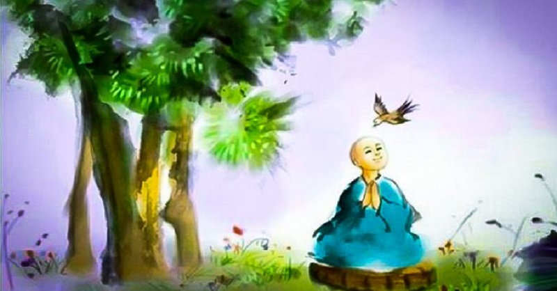 Vị tha và thấu hiểu sẽ vun bồi cho tâm từ bi