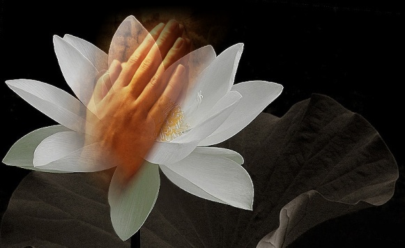 Quảng Trị: Hủy bỏ tư cách tu sĩ đối với Đại đúc Thích Trí Hộ (Võ Viết Đạt)