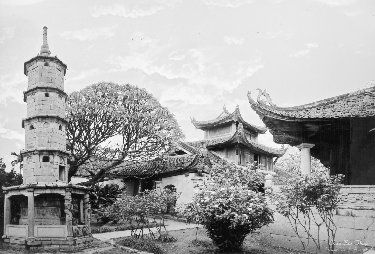 Nghiên cứu mối quan hệ giữa Tổ Tỳ Ni Đa Lưu Chi và Tam Tổ Tăng Xán