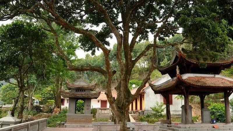 Tiến hành khai quật khảo cổ 03 ngôi chùa ở Hải Dương