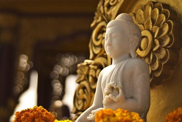 Giáo dục Phật giáo luôn hướng đến chân, thiện, mỹ