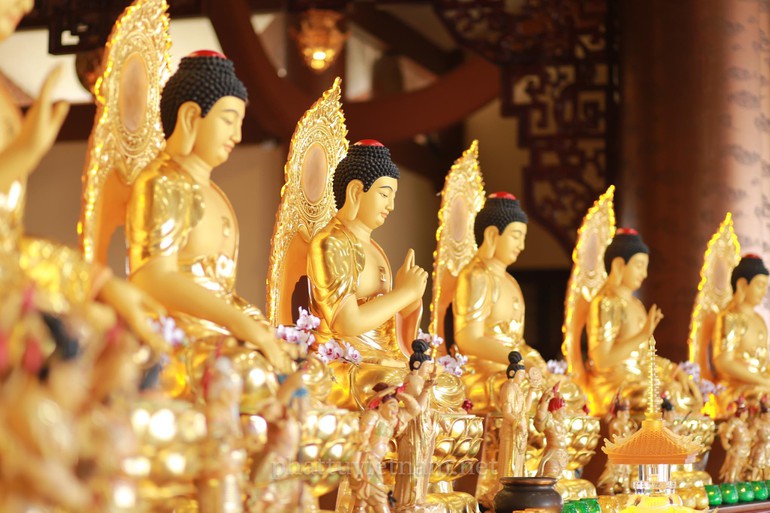 Tụng kinh Dược Sư cầu nguyện, mọi tai ương sẽ vượt qua