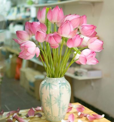 Hiểu thế nào về Tự lực và Tha lực trong Phật giáo?