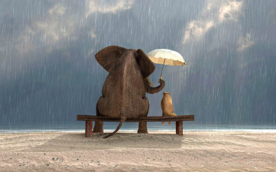 Phật dạy: Muốn đón duyên lành thì lòng người phải lương thiện