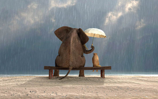 Phật dạy: Muốn đón duyên lành thì lòng người phải lương thiện