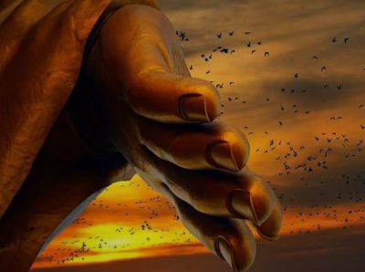 4 loại nghiệp lực chi phối tái sinh của con người