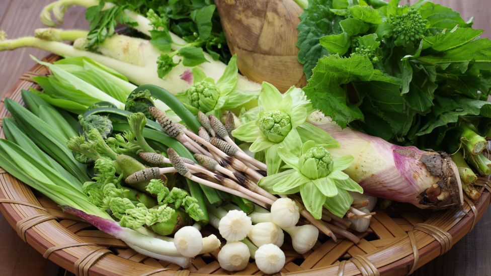 Tam thất (thực vật núi hoang dã) thường được sử dụng làm nguyên liệu trong shojin ryori (Nguồn: Kyoko Uchida / Alamy)