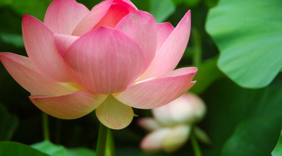 Ánh sáng nội tâm