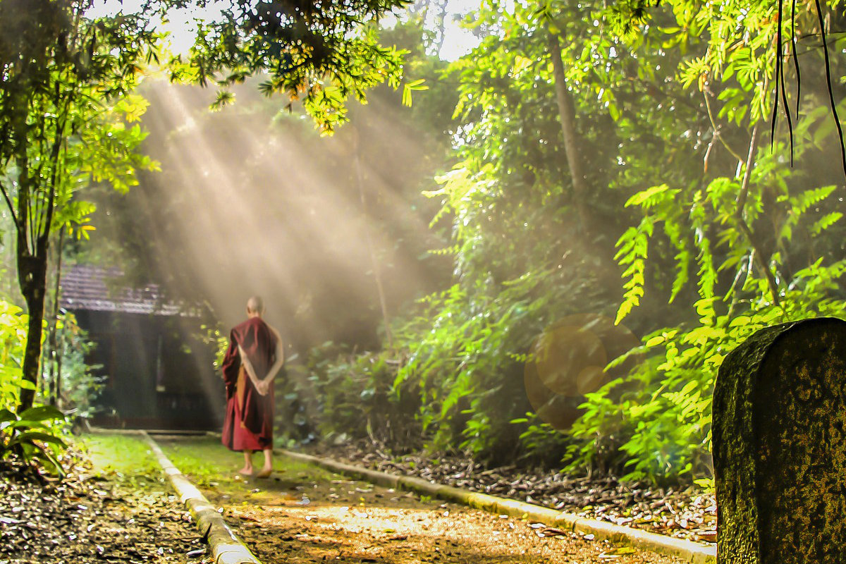 Hiểu thế nào cho đúng về Thiểu dục và Tri túc