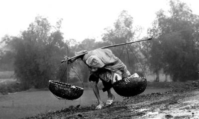 Tội nào nặng nhất, nghiệp báo đáng sợ nhất?