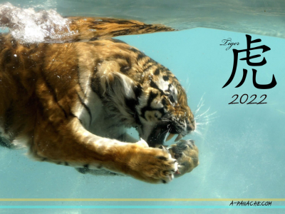 Xuân Nhâm Dần – Bàn chuyện Hổ từ góc nhìn văn hoá