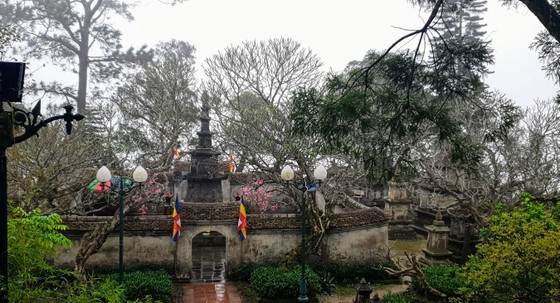 Sắc xuân trên non thiêng Yên Tử  ảnh 2