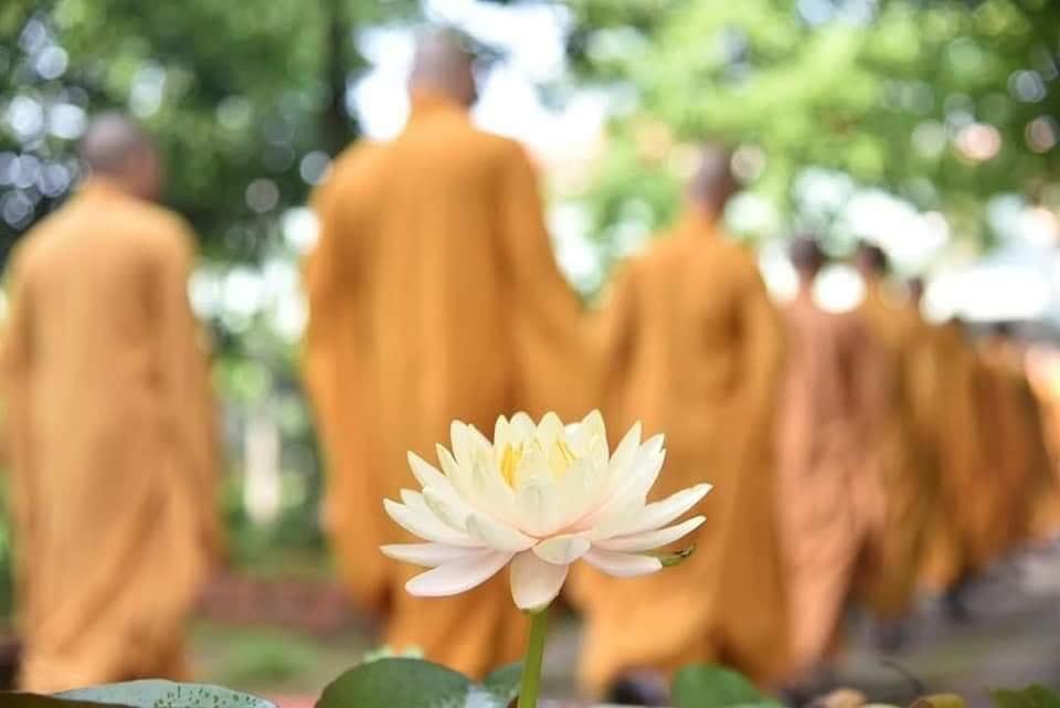 “Sắc tức thị không, không tức thị sắc” nghĩa là gì?